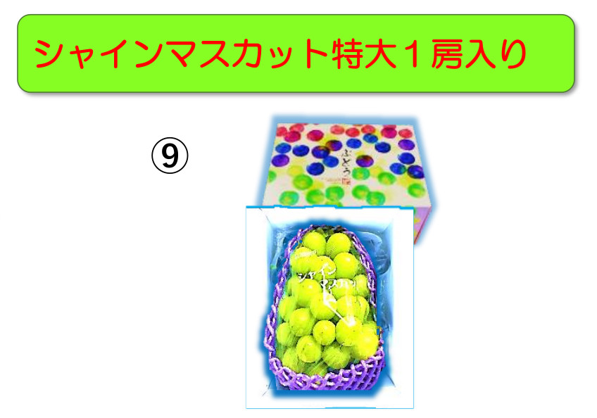 9) シャインマスカット特大１房入り