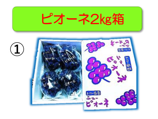3) ピオーネ2kg